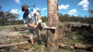 Stihl MS170 Mini Boss chainsaw cold start and review