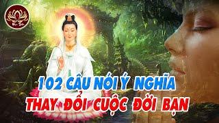 102 CÂU NÓI Ý NGHĨA THAY ĐỔI CUỘC ĐỜI BẠN (RẤT HAY) I LỜI PHẬT DẠY