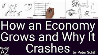 How an Economy Grows and Why It Crashes by Peter Schiff ; Animated Book Summary