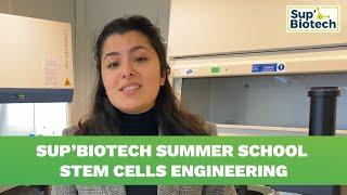 Sup’Biotech Summer School Stem Cells Enginneering