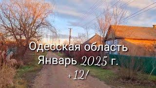 Получила счёт за электроэнергию и ОБАЛДЕЛА! Автострахование подорожало. ПРОВЕРЯЮ СЛИВОЧНОЕ МАСЛО.