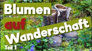 Gartengestaltung mal anders. Pflanzen, die wandern (Teil 1)