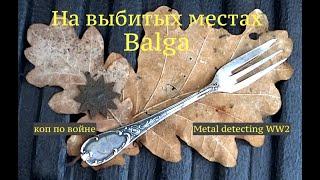 На выбитых местах. Balga. Коп по войне. Metal detecting WW2.