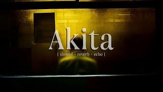 Skeler - Akita [ slowed + reverb + echo ]