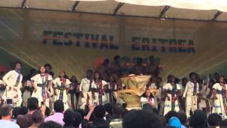 Eritrean Festival 2014: Zoba Debub Performance