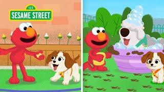 Sesame Street: Help Elmo and Puppy Solve TWO Mysteries!