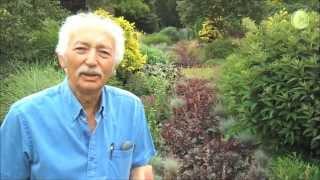 Tour of the Bressingham Gardens with Adrian Bloom