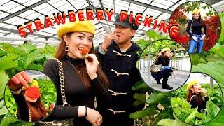 STRAWBERRY PICKING at Harada Farm  | Vena Roshiena