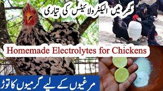 Homemade Electrolytes for Chickens | Poultry Summer Care & Management | Dr ARSHAD