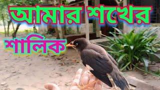 Birds Story #birds #animals #trending #pet