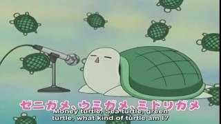 kirarin kame san