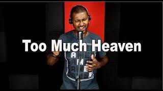 Too Much Heaven - Bee Gees | AnderVoz