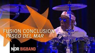 NDR Bigband plays "Fusion Conclusion": "Paseo del Mar" | Billy Cobham | Vladyslav Sendecki | NDR