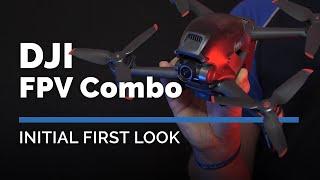 DJI FPV First Look | The next level in drone cinematography