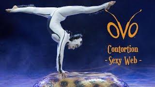 OVO【2013】- Contortion Act