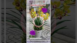HOA ĐỊA LAN ĐẤT SÉT | Hoa đất sét Ngọc Điệp