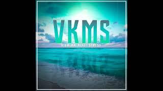 DJ Waldo - VKMS (Vida Ka Misti Stress)