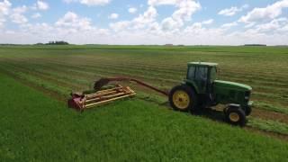 Cutting Alfalfa Hay