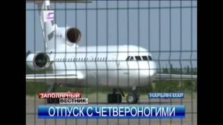 В отпуск с домашними питомцами