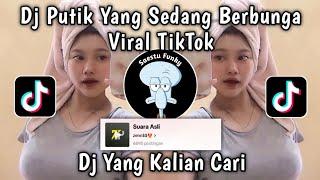 DJ PUTIK YANG SEDANG BERBUNGA - DJ HARUSKAH BERAKHIR  X PRI PRI VIRAL TIKTOK 2024 !!