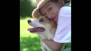 Portable Water Care4Pets