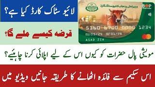 How to apply Punjab livestock card | Dairy farm loan in Punjab | Cattle Loan scheme 2024