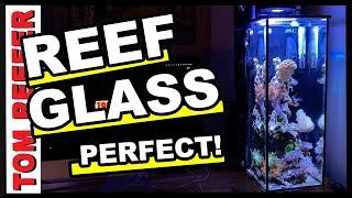 5 GALLON NANO REEF TANK - HOW MANY FISH IS TO MANY? REEF GLASS SKIMMER REVIEW.