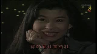 1993 – "Sister Dearest" Theme Song – 《傻妹俏娇娃》主题曲 – 《拥抱阳光》 – By Jacky Cheung – 由张学友演唱 – WIDESCREEN.mp4