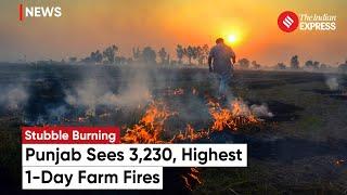 Punjab Stubble Burning: Punjab Sees 3,230, Highest 1-Day Farm Fires, Over 17,000 This Season