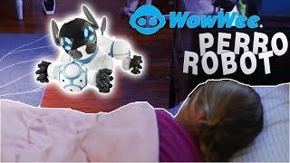 |PERRO ROBOT|una MASCOTA INTELIGENTE -chip -Wow Wee /Amazon