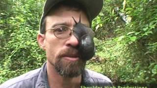 Dr. Brian Fisher - Snail Attack