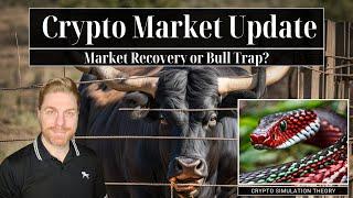 Crypto Market Update - Market Recovery or Bull Trap?