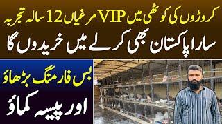 Fancy Poultry Farming And Profitable Business idea in pakistan 2022
