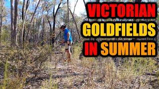 HOT SUMMER NIGHTS in the VICTORIAN GOLDFIELDS