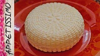 АДЫГЕЙСКИЙ СЫР: рецепт домашнего сыра из домашнего или магазинного молока  Сыр в домашних условиях