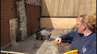 Feeding Our Animals | Edinburgh Zoo