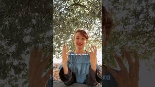Практика «КАК НАЙТИ СВОЁ ПРЕДНАЗНАЧЕНИЕ» #психолог #психология #предназначение