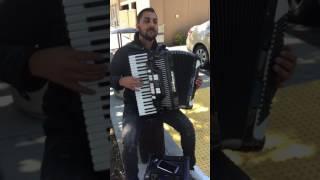 Accordion Player