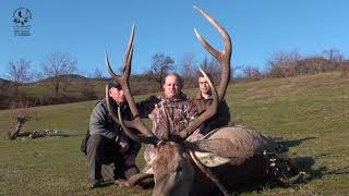 Red Deer Hunting in Bulgaria