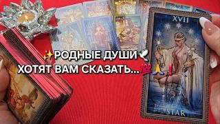 РОДНЫЕ ДУШИ ХОТЯТ ВАМ СКАЗАТЬ...