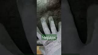 Как делать крышу. #жизнь #как #мир
