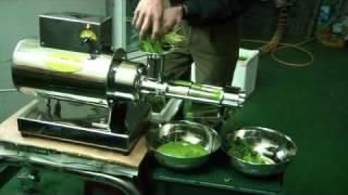 wheatgrass extracting with angel commercial juicer mini-angel juicer