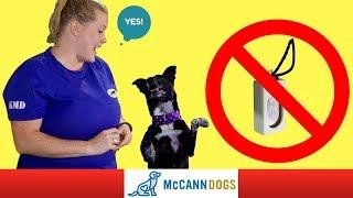 Clicker Training Without A Clicker - Professional Dog Training Tips