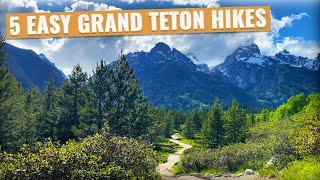 5 Best Hikes in Grand Teton National Park (Easy Hikes That Is!)