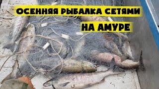 Осенняя рыбалка на Амуре Сплавными сетями. Лов кеты