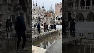 Ever Wonder What Venice Looks Like Flooded?