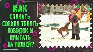 Как отучить собаку тянуть поводок и прыгать на людей(один из способов)