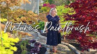 May Garden Tour of my Shade Garden & Japanese Maple Collection