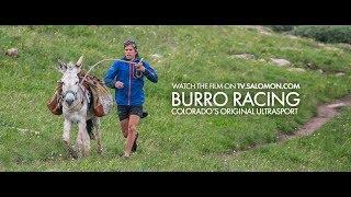 Burro | Salomon TV