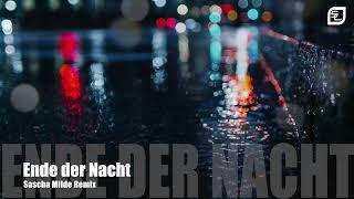 Steven Liquid - Ende der Nacht (Sascha Milde Remix)